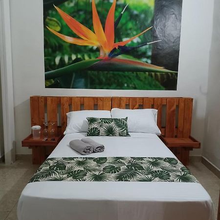 Hospedajes El Jardin Энвигадо Экстерьер фото